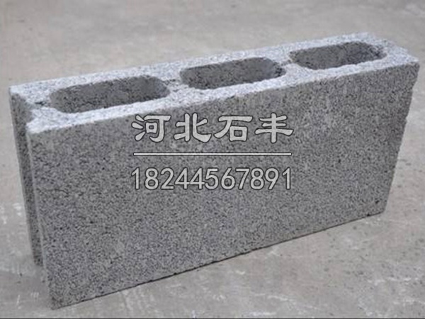 轻集料混凝土小型空心砌块 (4)